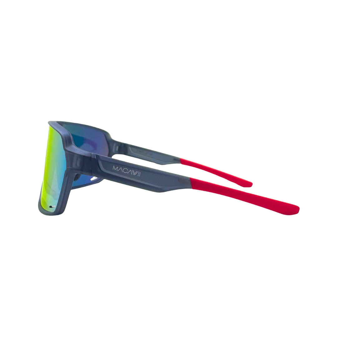 Ignitor