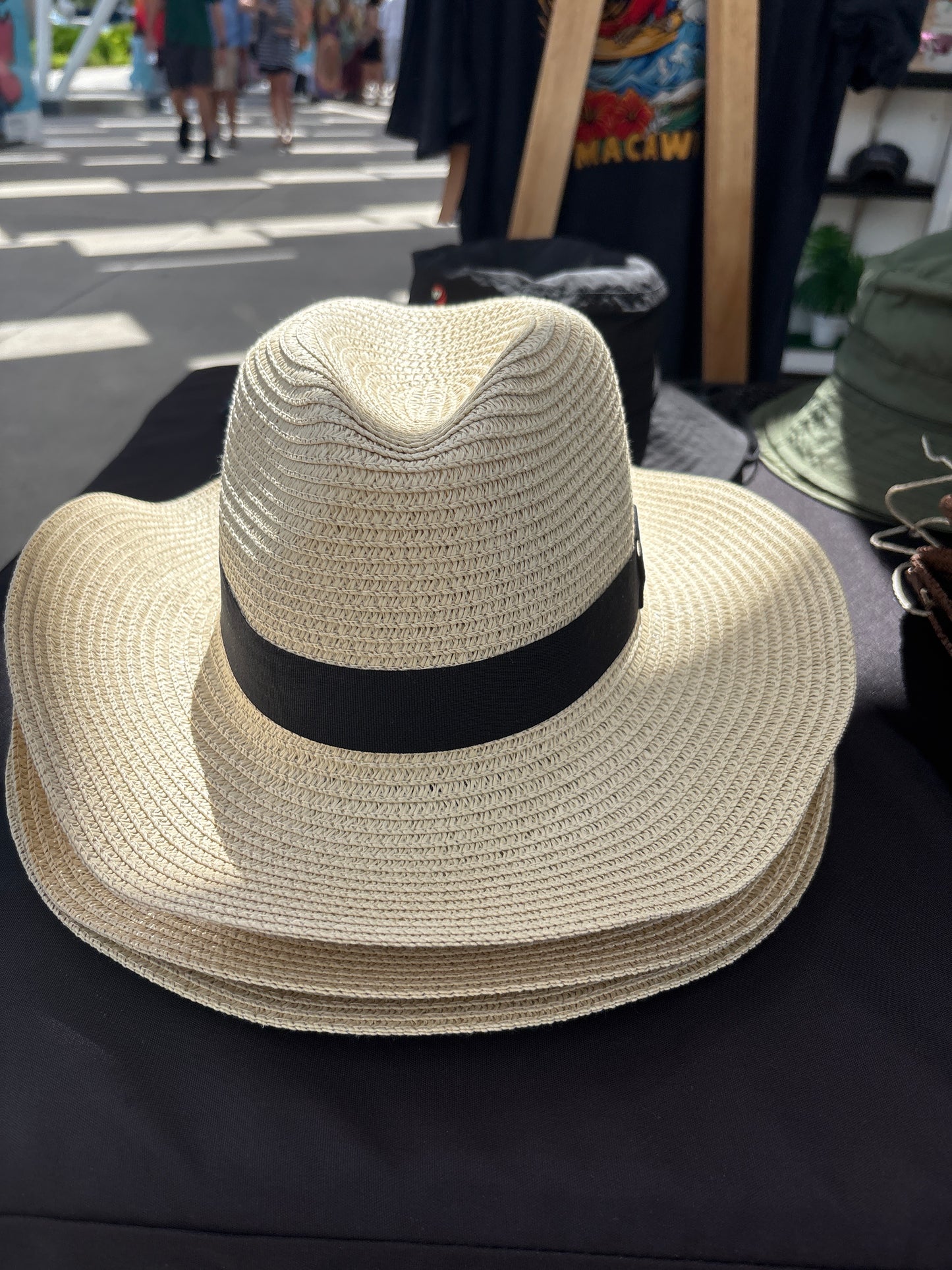 Fedora hat