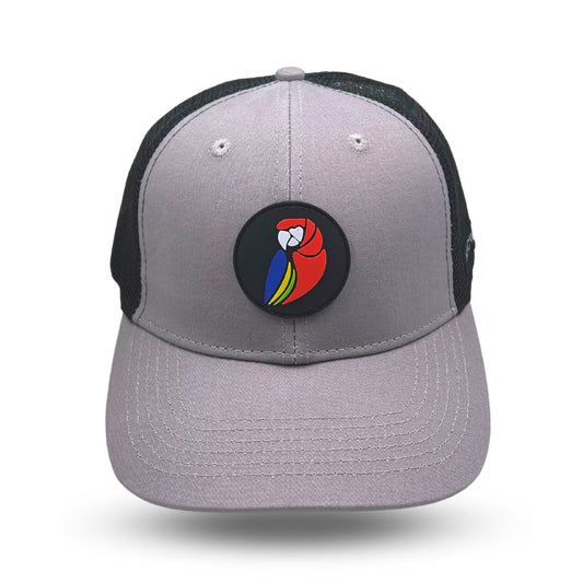 Grey Snapback