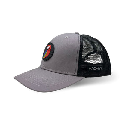 Grey Snapback